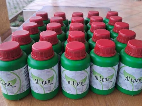 Product algae